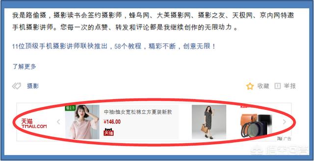 宠物美发沙龙app下载:宠物的情感回报真的远大于你的付出吗？
