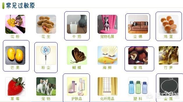 真菌过敏症的预防:真菌过敏症用药 当春季撞上呼吸道过敏，过敏体质人群如何预防？