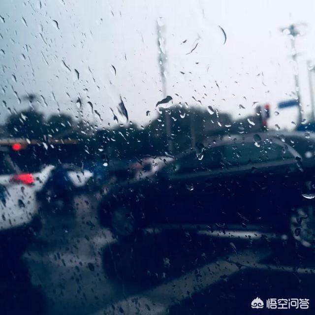 新手应该从哪些方面来学习理财？
