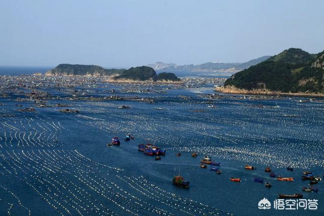 海昏侯纪录片，国内有哪些值得一去的博物馆