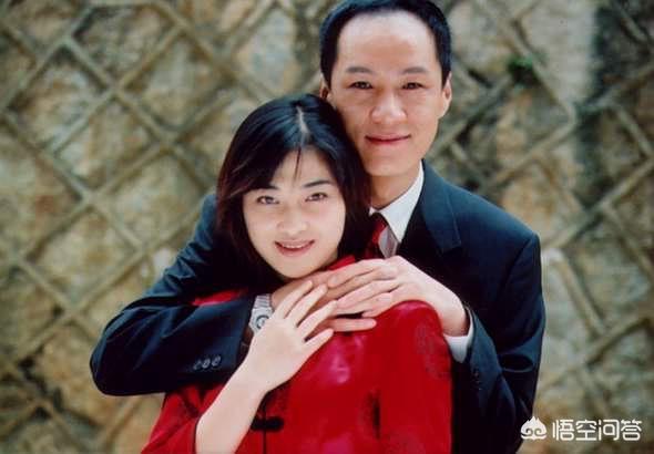 梅婷女儿:梅婷主演的电视剧哪个好看？