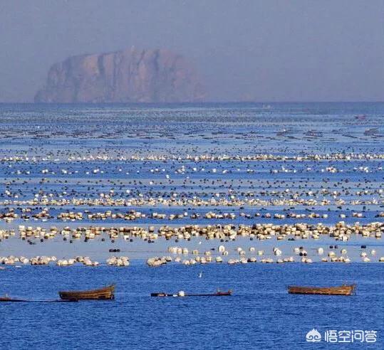 婴乐岛:想带孩子去看海，有哪些地方可以推荐？