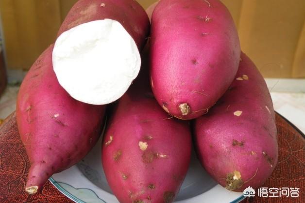 红薯属于粗纤维吗，地瓜是红薯吗你知道有几个品种哪个最好吃