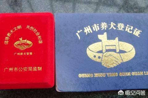 宠物健康知识讲座:小狗应该怎样喂养才能健康成长？