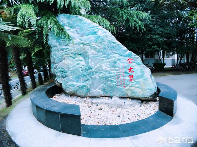 北京大学蹭课猫:大学里有哪些课值得去蹭？老师鼓励蹭课吗？