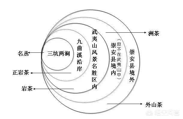 阿波罗藏獒的评定标准:央视调查武夷岩茶520万一斤，你怎么看？