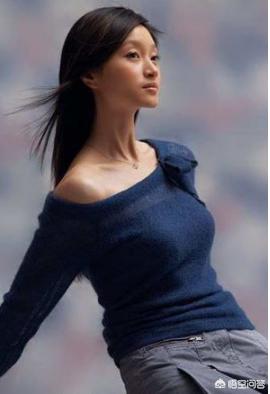 李连杰老婆叫什么:李连杰有几个老婆几个小孩？