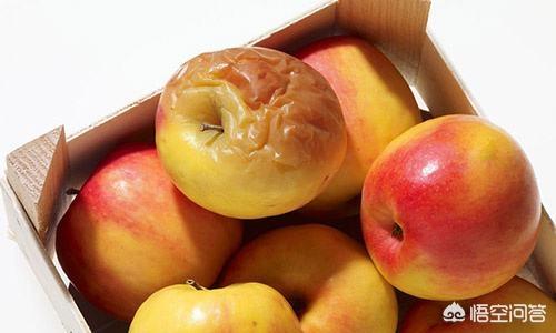 非洲牛蛙突然拒食:全球最毒的十种食物是什么？