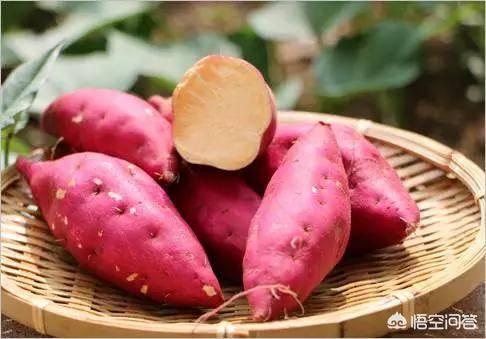 地瓜干减肥可以吃吗，秋季适合吃红薯，怎样吃能减肥？