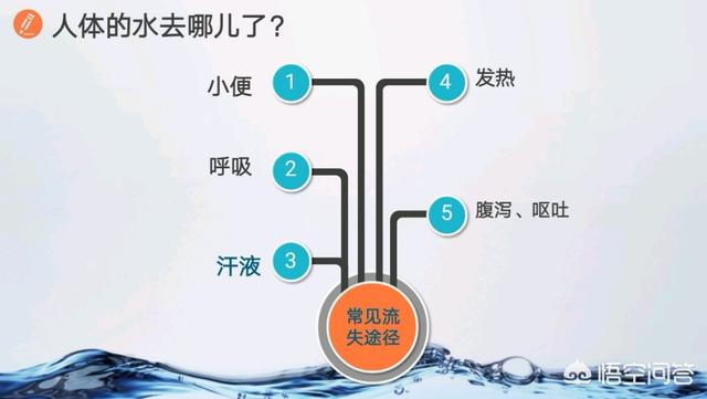 不喜欢喝水:孩子不喜欢喝白开水，有什么好办法？