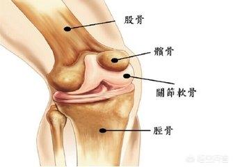 膝盖软骨磨损微创手术费用:关节软骨磨损真的不可逆吗？