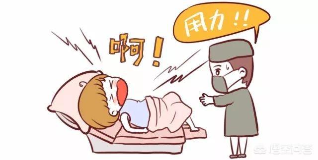 容离:前壁好生还是后壁好生有哪些依据