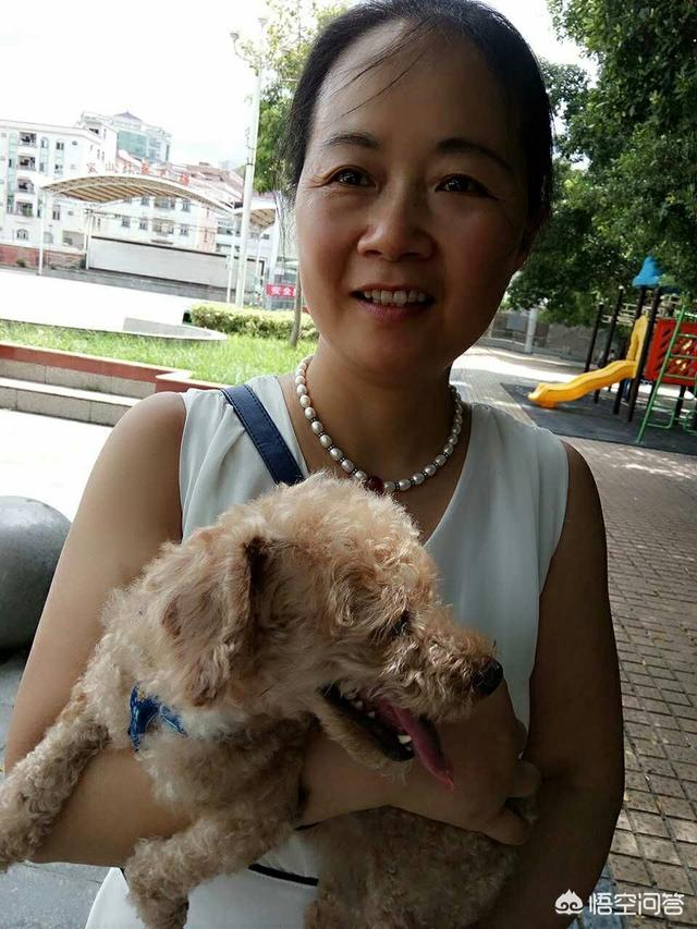 一只名叫痛苦的狗:宠物狗哭是什么原因造成的？