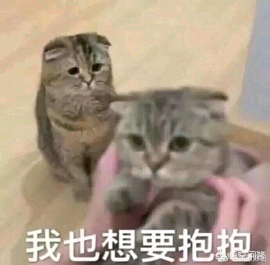 怎样和女生聊天才能不把天聊死(怎样聊天不把天聊死)