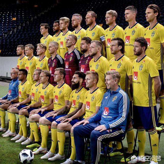 2018世界杯瑞典全部比赛