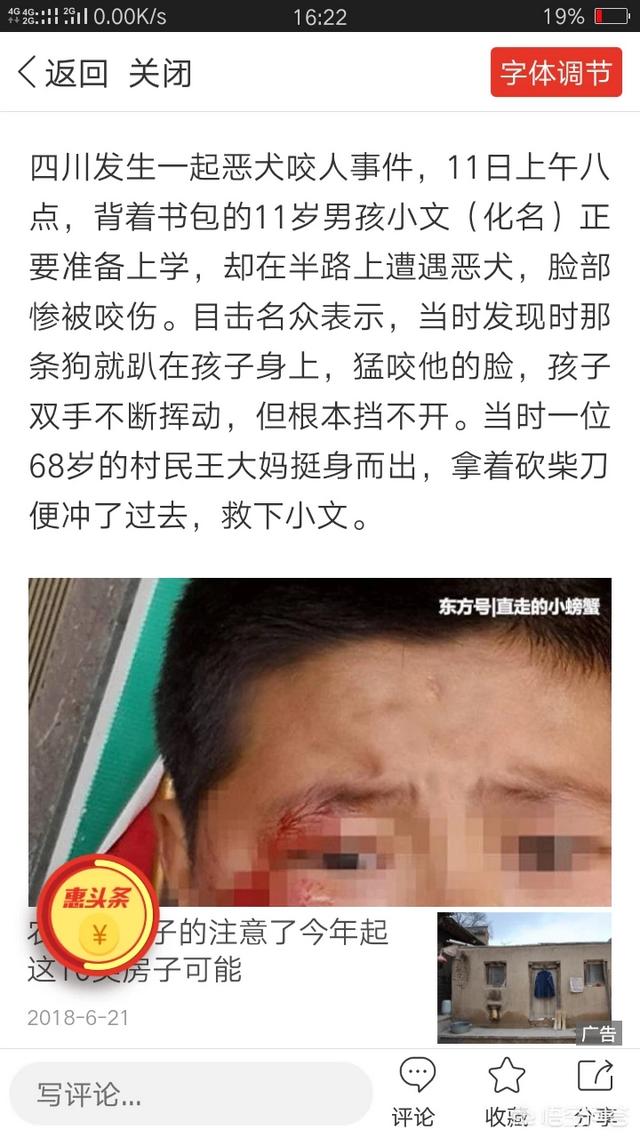 两女和狗围攻老人:为什么“爱狗人士”被黑化了？
