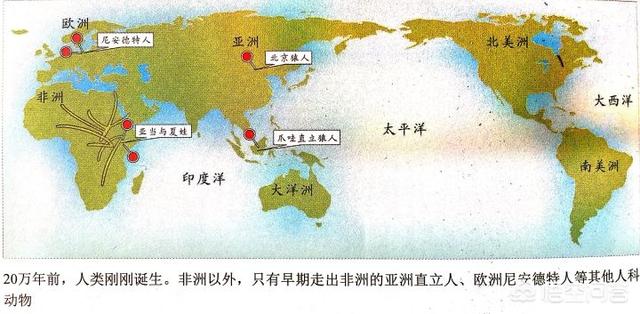 达尔文为什么认为人类起源于非洲？