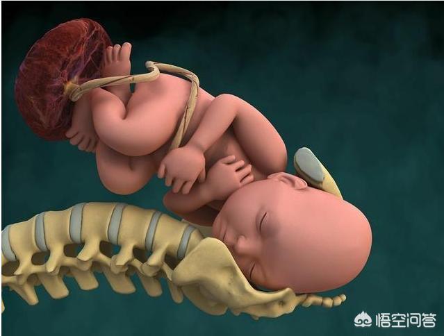 头条问答 怀孕41周了 能顺产吗 34个回答