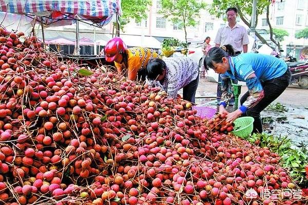 玉林荔枝狗肉节:玉林有什么地道的本地小吃？ 玉林荔枝狗肉做法