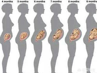 怀孕大肚子变化图片