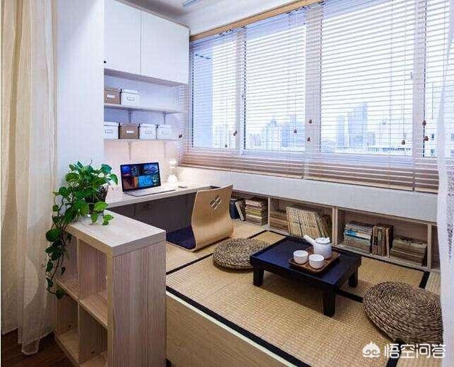 家里没有阳台养猫好吗:阳台可以摆放一些什么东西？