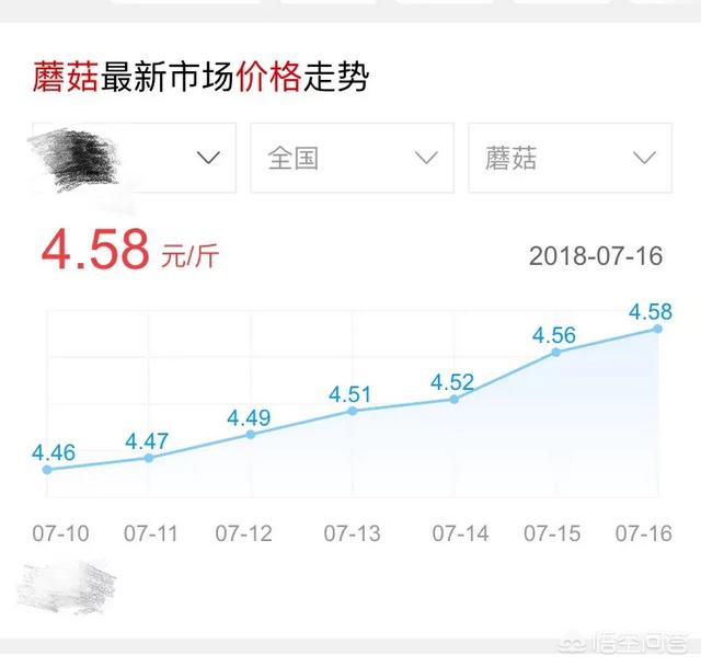一路奔跑的蘑菇的关注:LOL提莫为什么招人烦？