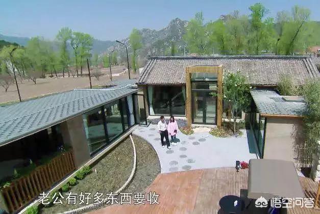 汪小菲力挺大s:大S离婚的真正原因是什么