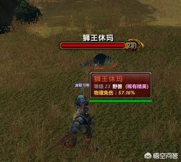 《魔兽世界》60年代猎人有哪些经典宠物？