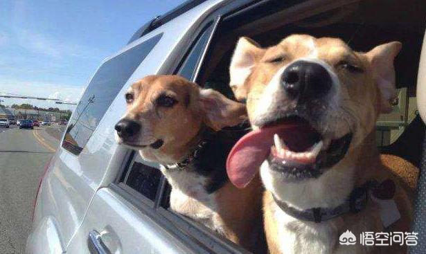 高速上开车犯困了有什么好的保持清醒的方法吗? - 亨男梭汽车网