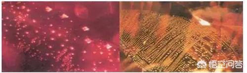 鸽血红草莓晶,尖晶石和红宝石怎么区分？