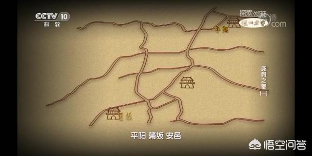 拟厦鸟:刚出土的玉米苗，怎样防止鸟叼
