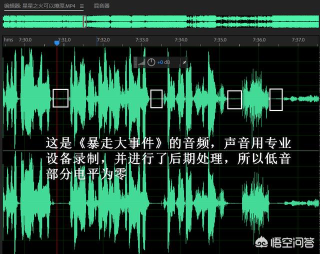 猫猫音乐俱乐部波波:两岁宝宝一到晚上就说怕，有点风吹草动的就怕，该咋解决？