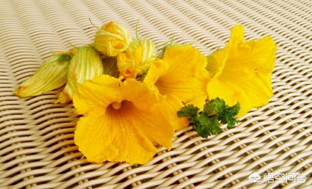 头条问答 南瓜花可以吃吗 有什么功效 14个回答