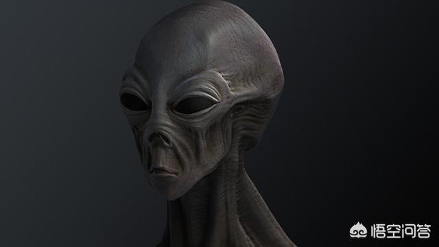 你觉得1000年后人类会进化成什么样子呢