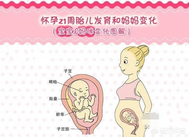 头条问答 - 怀孕21周多,孕妈体重一直没有升正常吗?(3个回答)