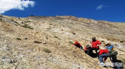 抗癌宝石 骗局,钻石价格昂贵真的是一场骗局吗？