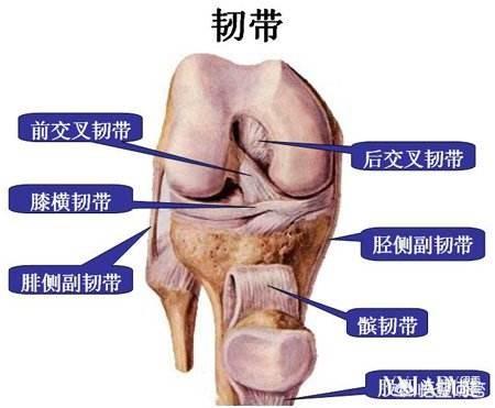 韧带断裂缝合后多久拆:骨折打了石膏，要多少天才能拆石膏？