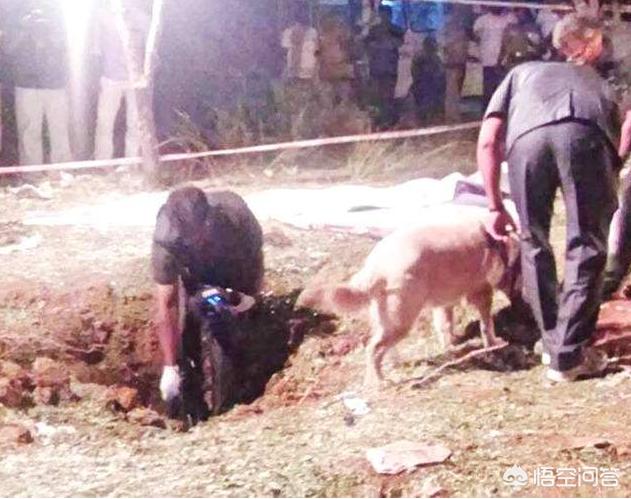 陨石砸中灵异事件:有没有地球人类被陨石击中的先例？为什么？