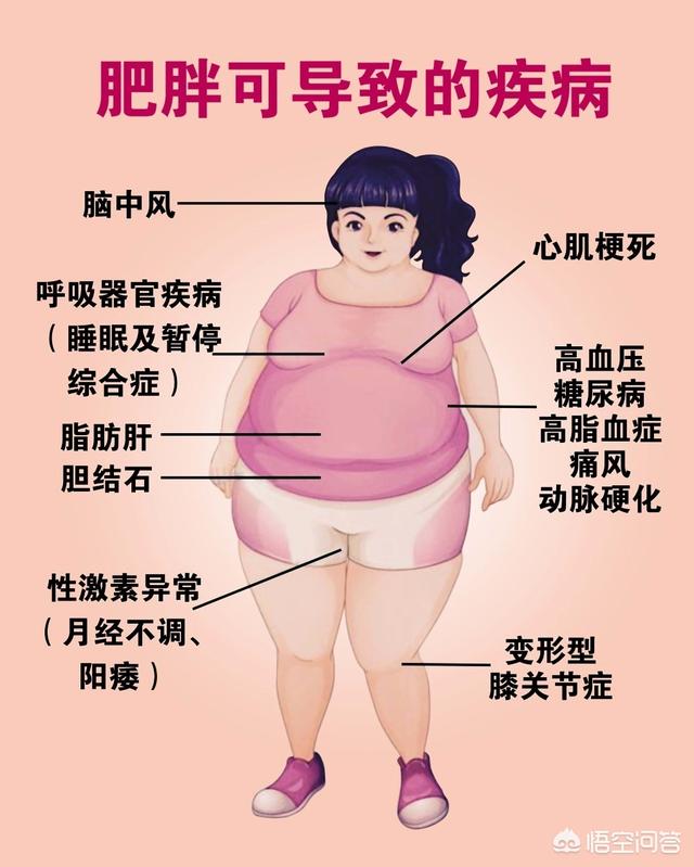 (8个回答)