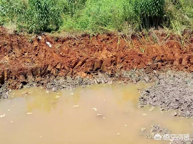 启东王子:南通苏通园区的房该不该买