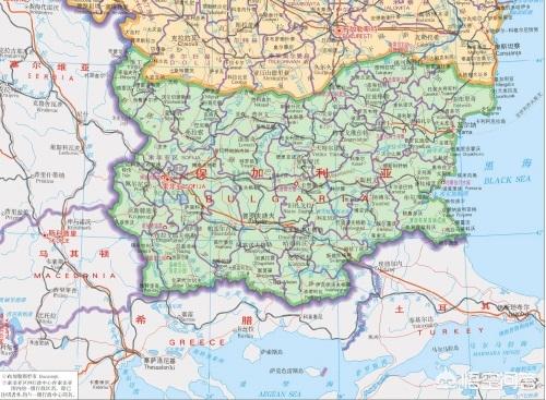 大鸨鸟国家:为什么说保加利亚是一个可怜又可恨的国家？ 大鸨是国家