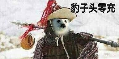 dnf大龙猫的漫游换装:DNF这么多职业中哪个职业的完美buff换装是最需要氪金的？