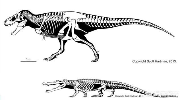 普鲁斯鳄游戏:霸王龙能打过恐鳄吗？为什么？