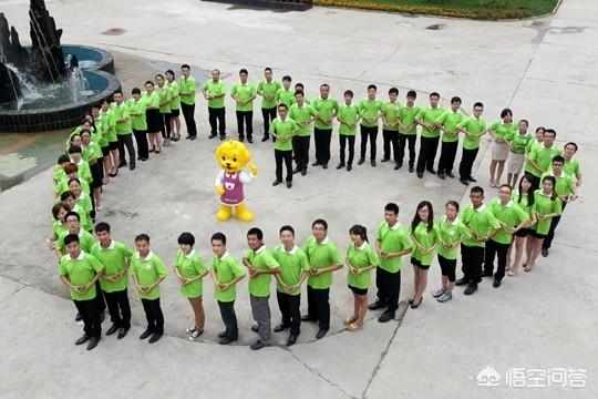 山西中国宠物人才网招聘平台:山西美好蕴育招聘条件有哪些？