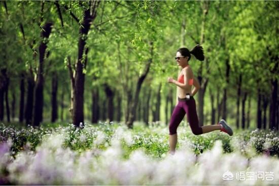 跑步能减肥吗:每天只跑步40分钟可以减肥吗？