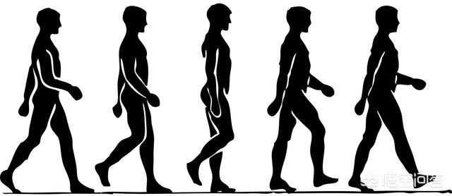 每天坚持步行有什么好处？