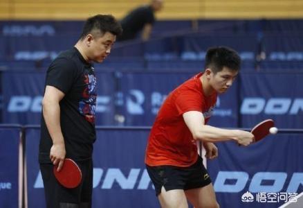 王浩个人资料:王皓为何现在不担任樊振东的场外教练了呢？你怎么看？