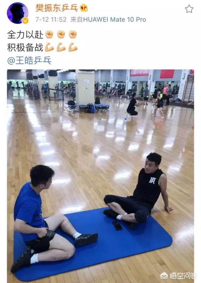 王浩个人资料:王皓为何现在不担任樊振东的场外教练了呢？你怎么看？