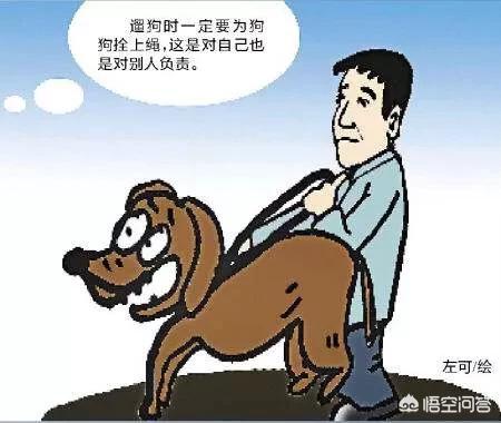 哈士奇狗撞电动车:电动车碾死小狗，该赔钱么？