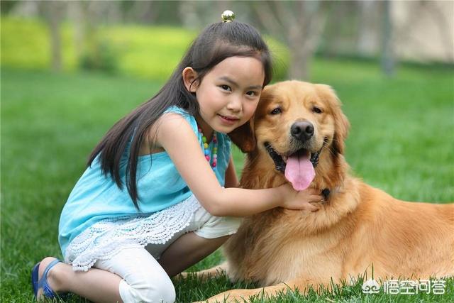 养狗十戒 日本:如何看待日本人说中国人没资格养狗？